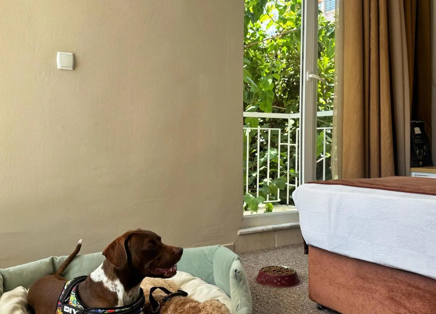 Moy Beldibi Hotel Antalya